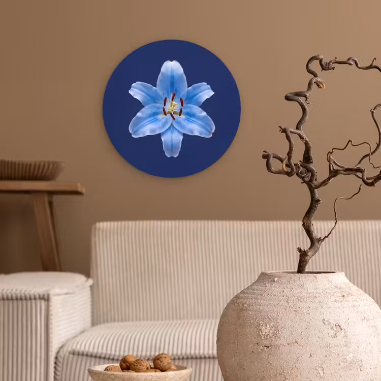 Glasbild Rund - Blaue Lilie – Blumen — 2