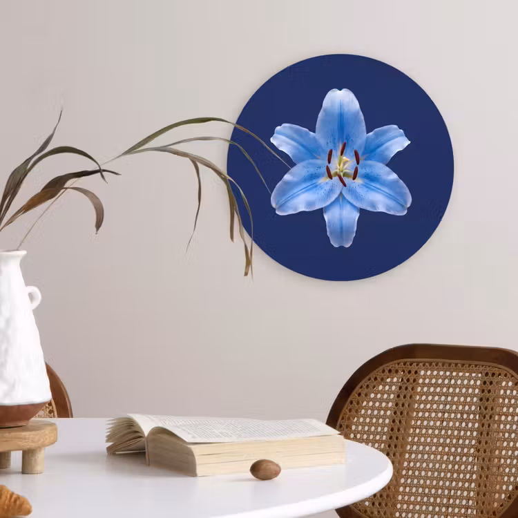Glasbild Rund - Blaue Lilie – Blumen — 4