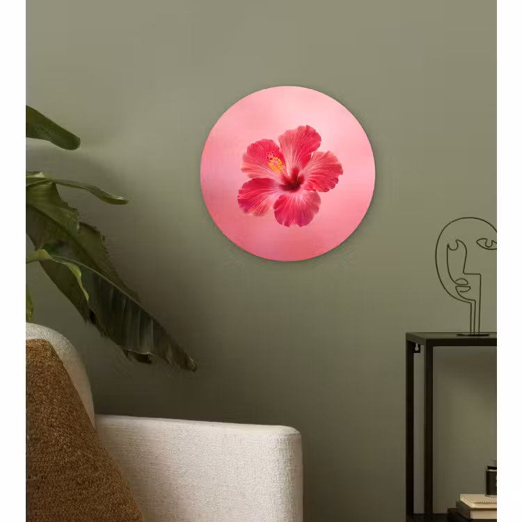 Glasbild Rund - Rote Blume – Natur — 3