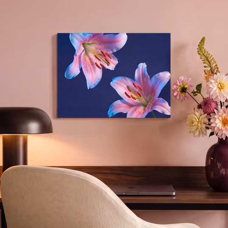 Akustikbild - Blumen – Farbenfroh – Botanisch — 6