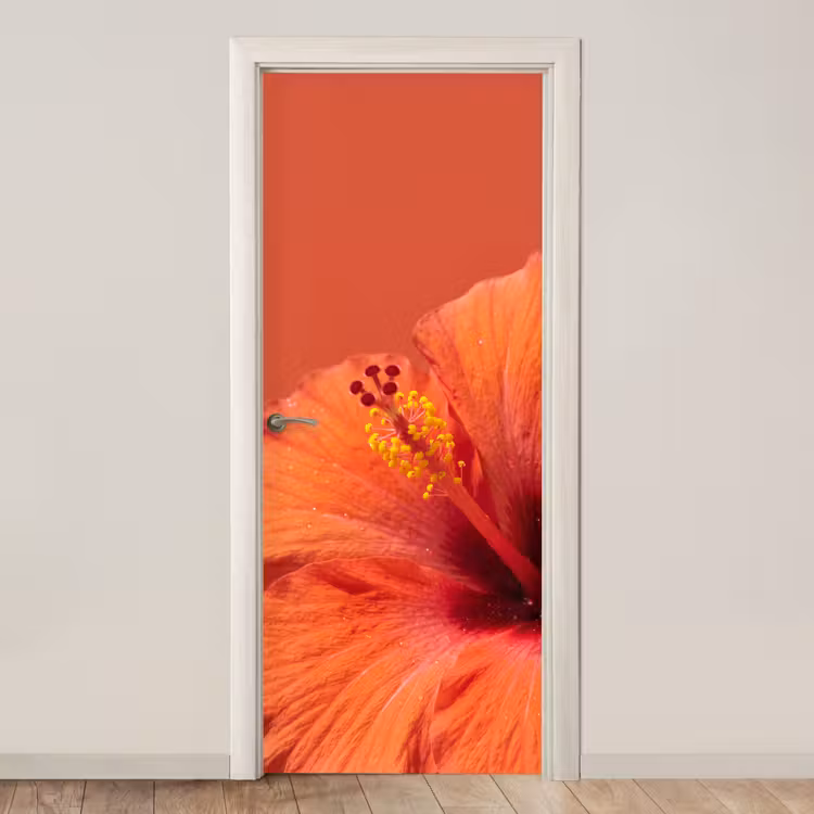 Türtapete - Blumen – Orange – Natur — 1