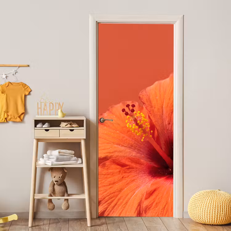 Türtapete - Blumen – Orange – Natur — 5