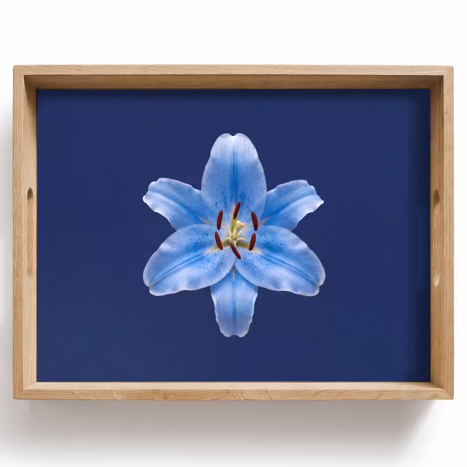 Tablett - Blaue Lilie – Blumen — 1