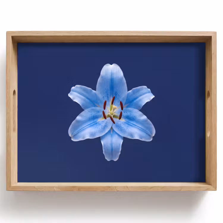 Tablett - Blaue Lilie – Blumen — 1