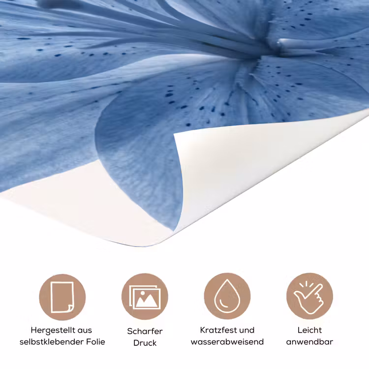 Türtapete - Blumen – Transparent – Modern — 8