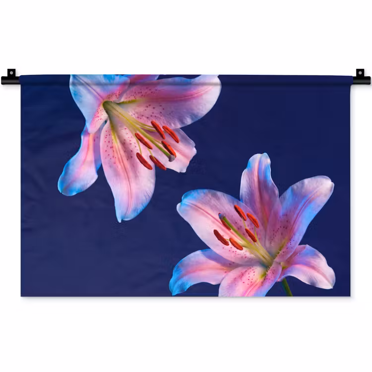 Wandteppich - Blumen – Bunt – Botanisch — 1