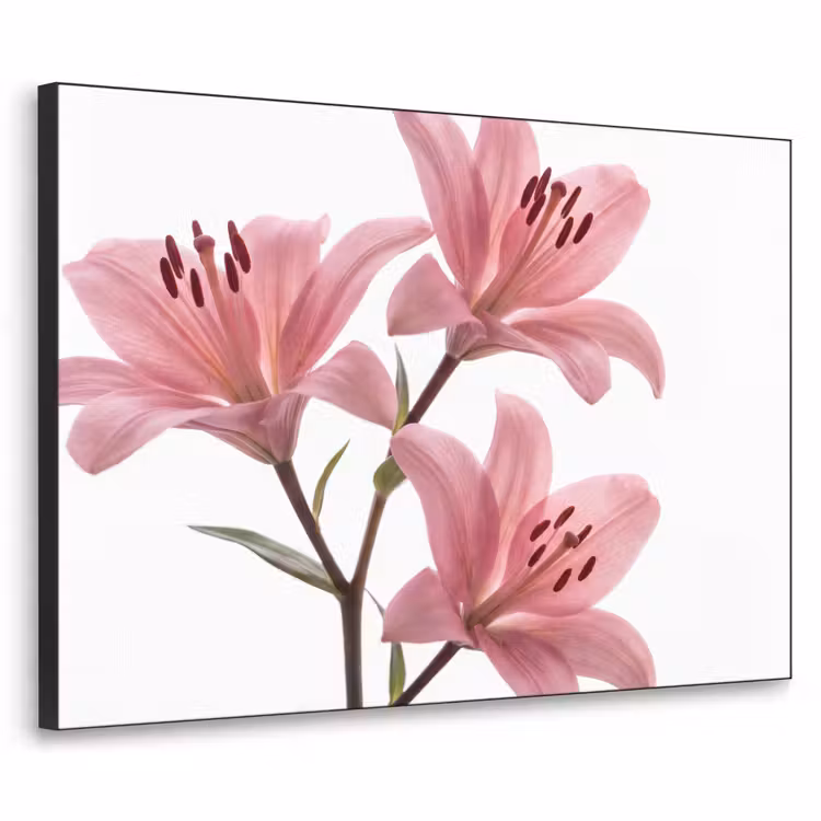 Art Frame - Blumen – Sanft – Modern — 1