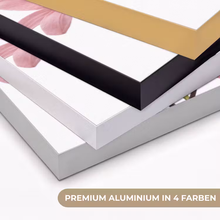 Art Frame - Blumen – Sanft – Modern — 5