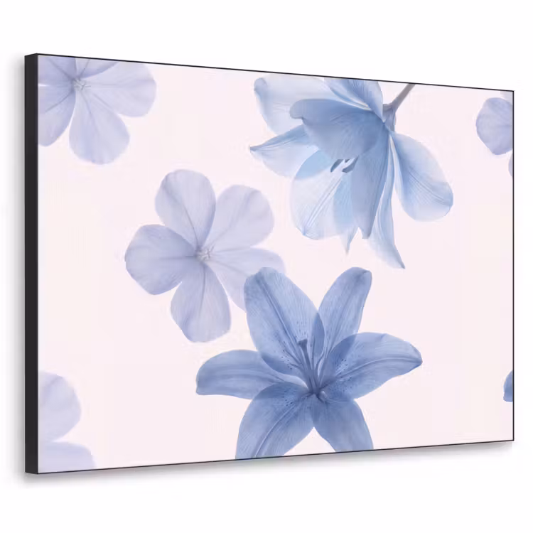 Art Frame - Blumen – Transparent – Modern — 1