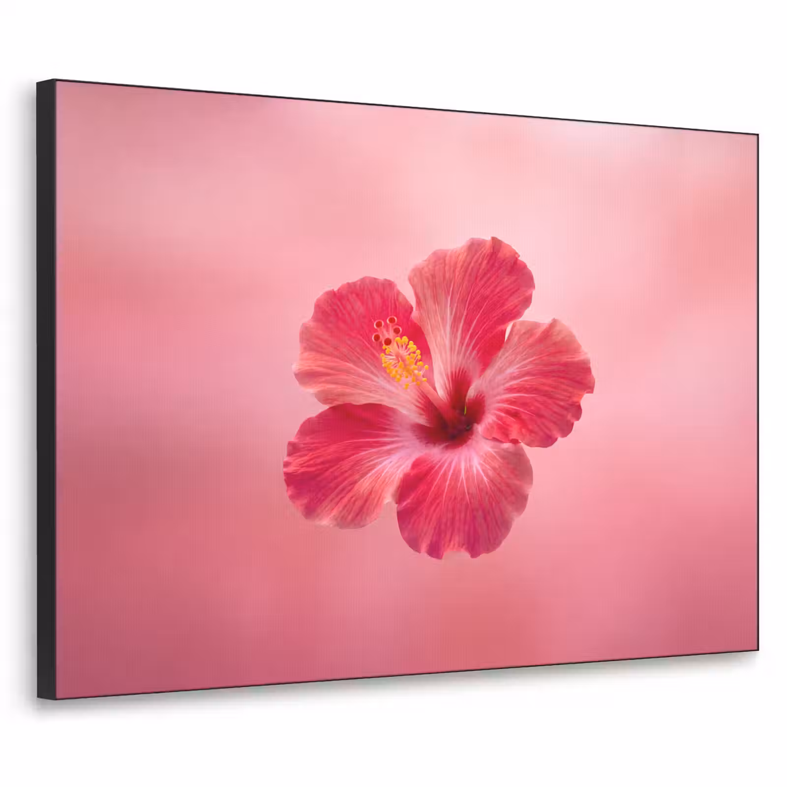 Art Frame - Rote Blume – Natur — 1