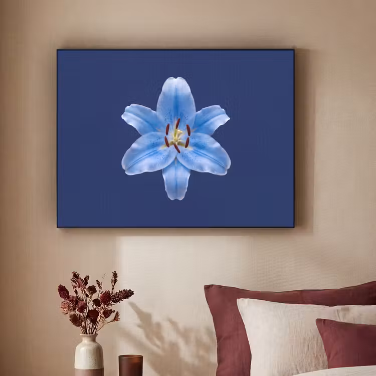 Art Frame - Blaue Lilie – Blumen — 2