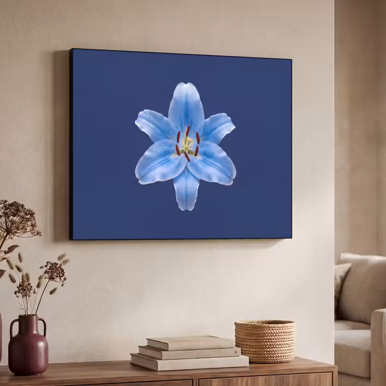 Art Frame - Blaue Lilie – Blumen — 3