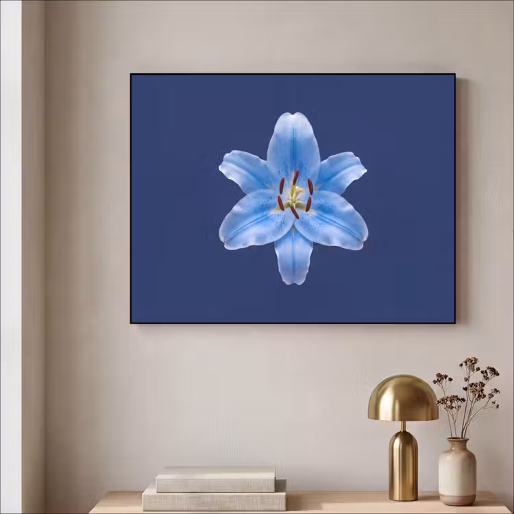 Art Frame - Blaue Lilie – Blumen — 4