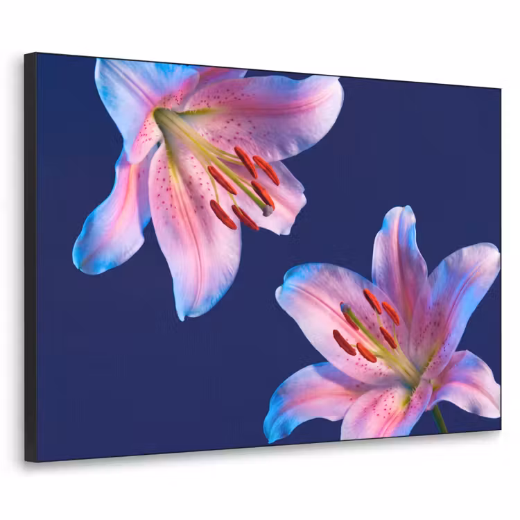 Art Frame - Blumen – Farbenfroh – Botanisch — 1