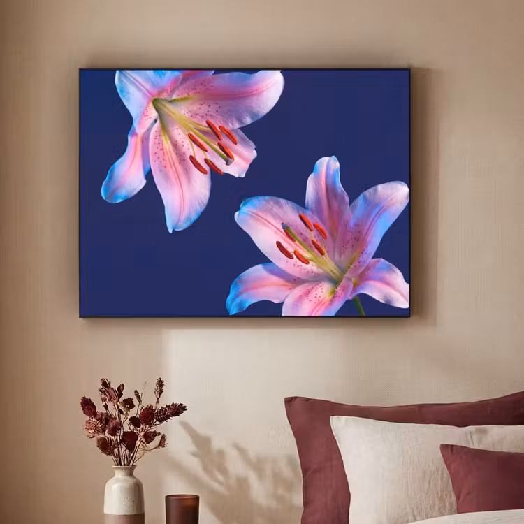 Art Frame - Blumen – Farbenfroh – Botanisch — 2