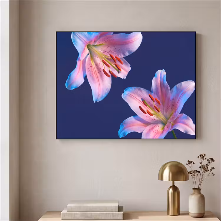 Art Frame - Blumen – Farbenfroh – Botanisch — 4