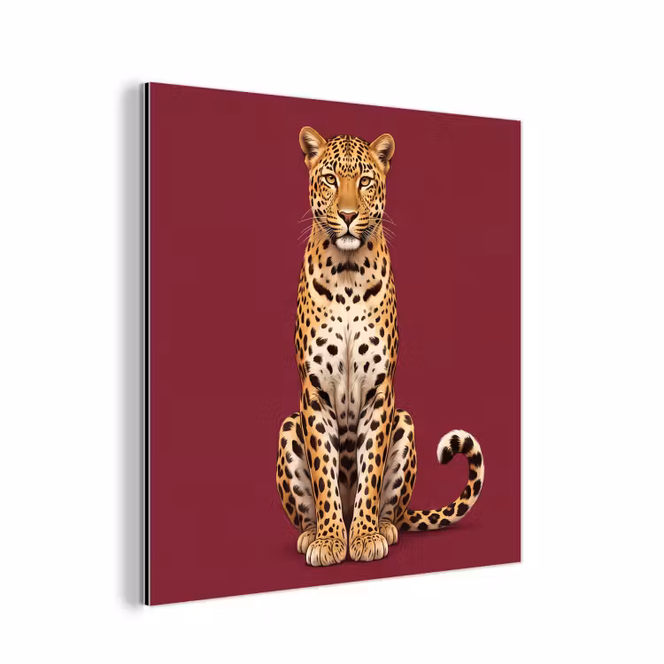 Alu-Dibond-Bild - Katze – Tiere – Rot — 1