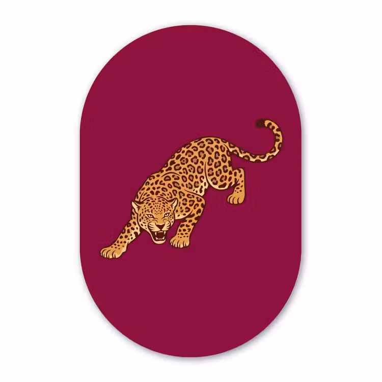 Glasbild Oval - Katze – Angriff – Tiere — 1