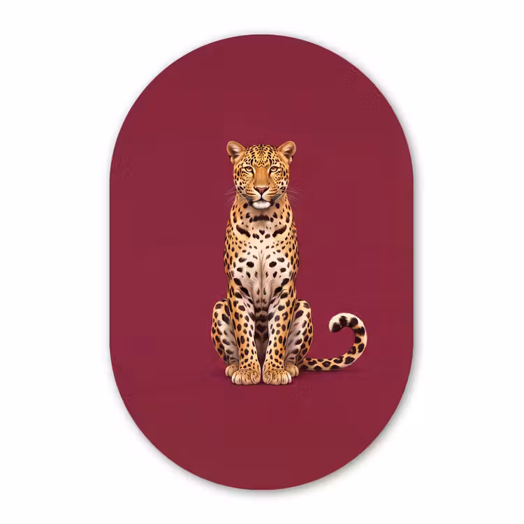 Glasbild Oval - Katze – Tiere – Rot — 1