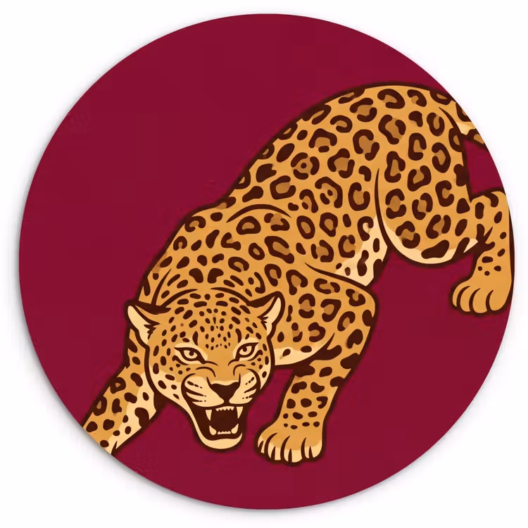 Forexbild Rund - Katze – Angriff – Tiere — 1