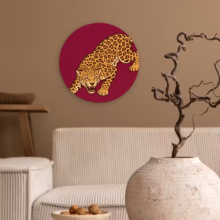Forexbild Rund - Katze – Angriff – Tiere — 2