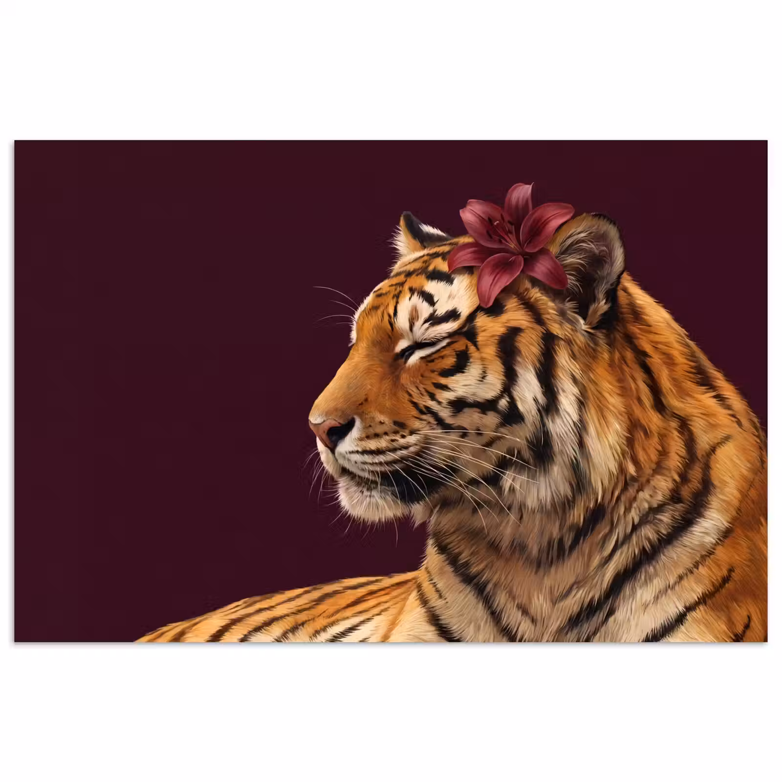 Poster - Tiger – Blume – Tiere — 1
