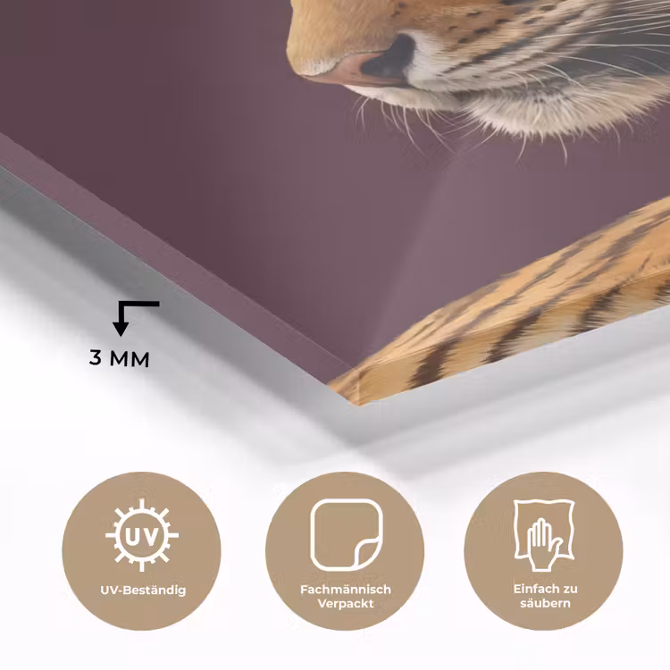 Glasbild - Tiger – Blume – Tiere — 3