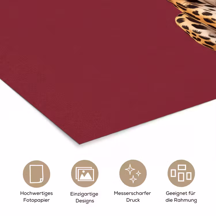 Poster - Katze – Tiere – Rot — 5