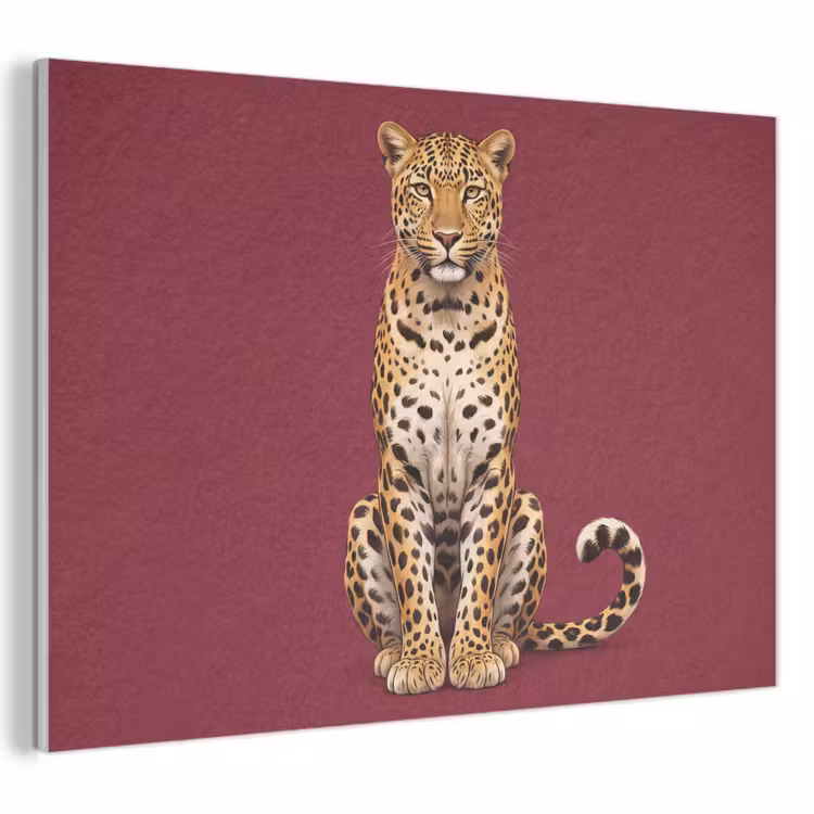 Akustikbild - Katze – Tiere – Rot — 1
