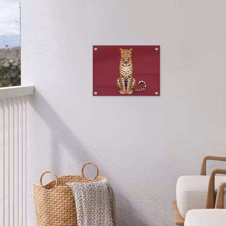 Gartenposter - Katze – Tiere – Rot — 5