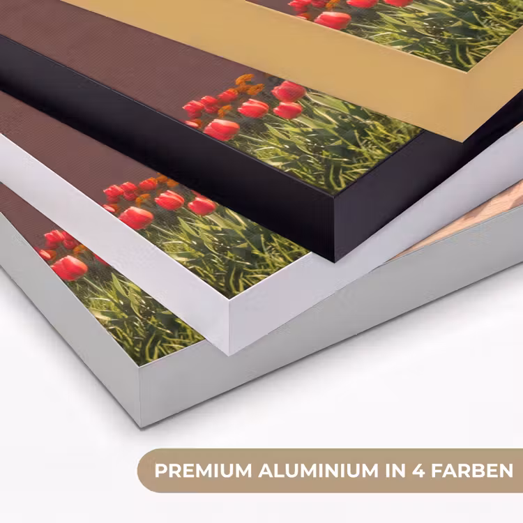 Art Frame - Weg – Blumen – Natur — 5
