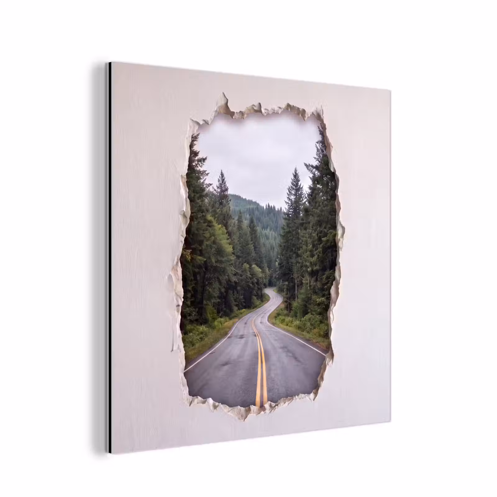 Alu-Dibond-Bild - Straße – Wald – Natur — 1