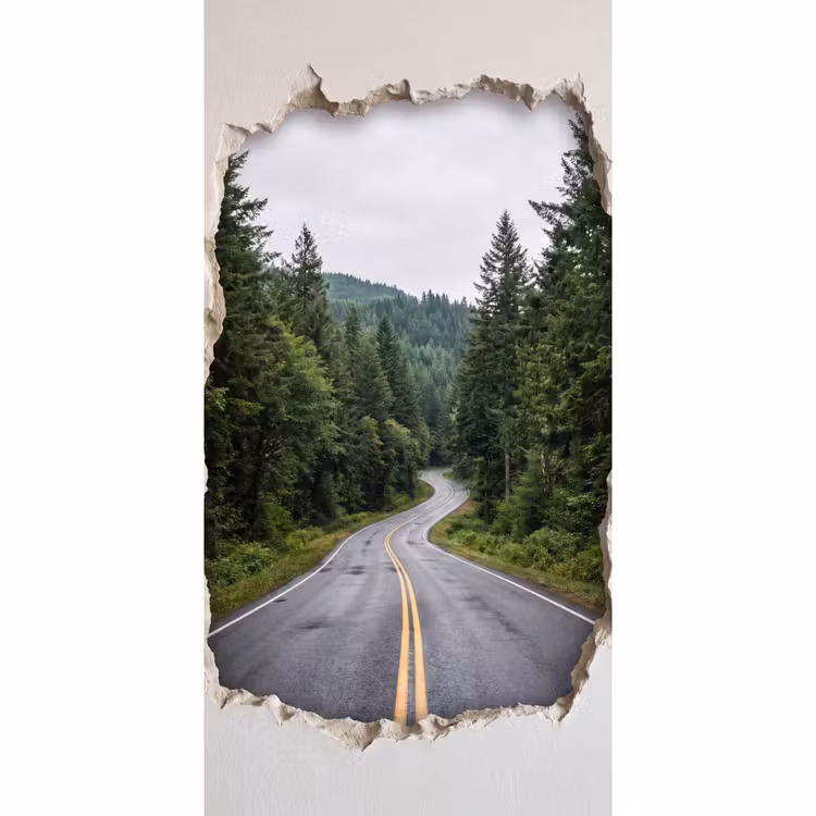 Tapete - Straße – Wald – Natur — 2