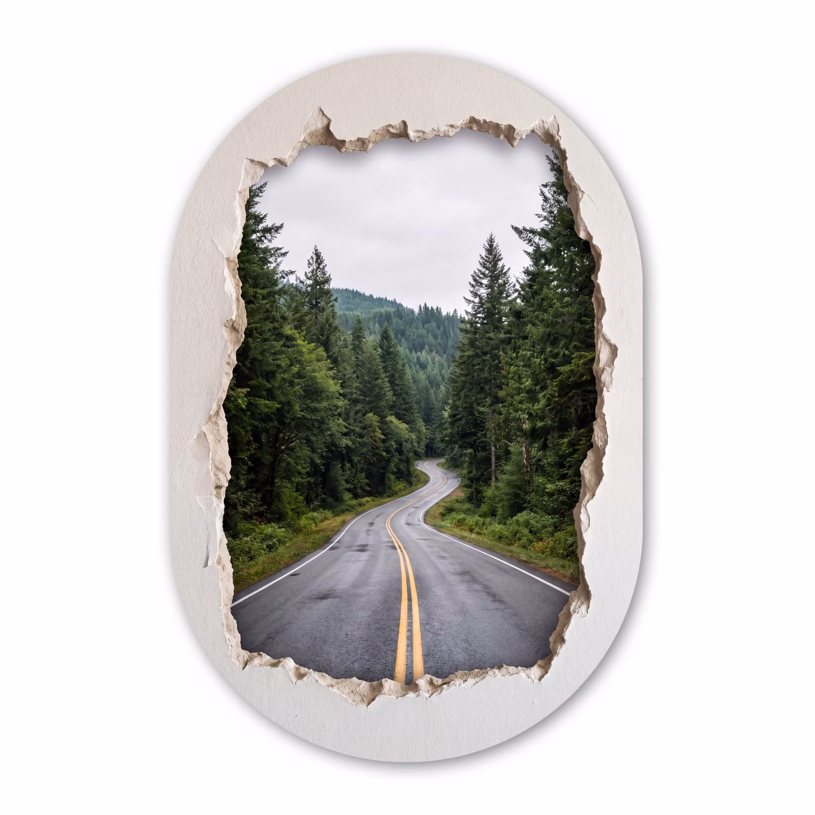 Forexbild Oval - Straße – Wald – Natur — 1