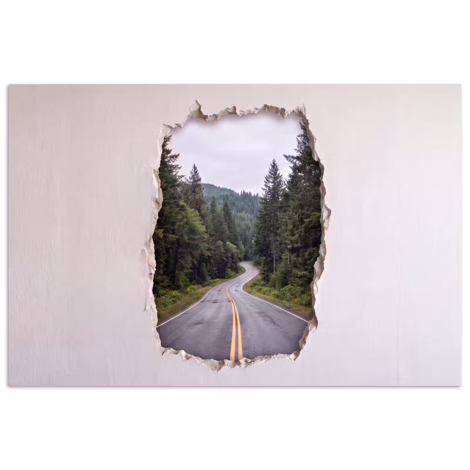 Poster - Straße – Wald – Natur — 1