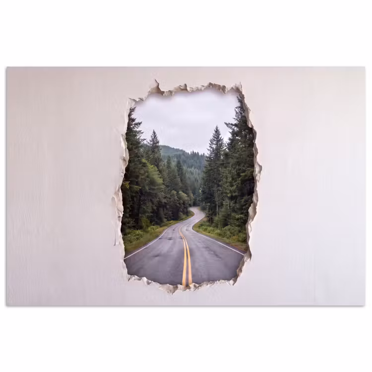 Poster - Straße – Wald – Natur — 1