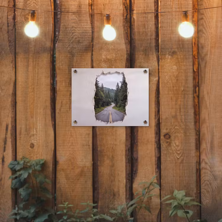 Gartenposter - Straße – Wald – Natur — 2
