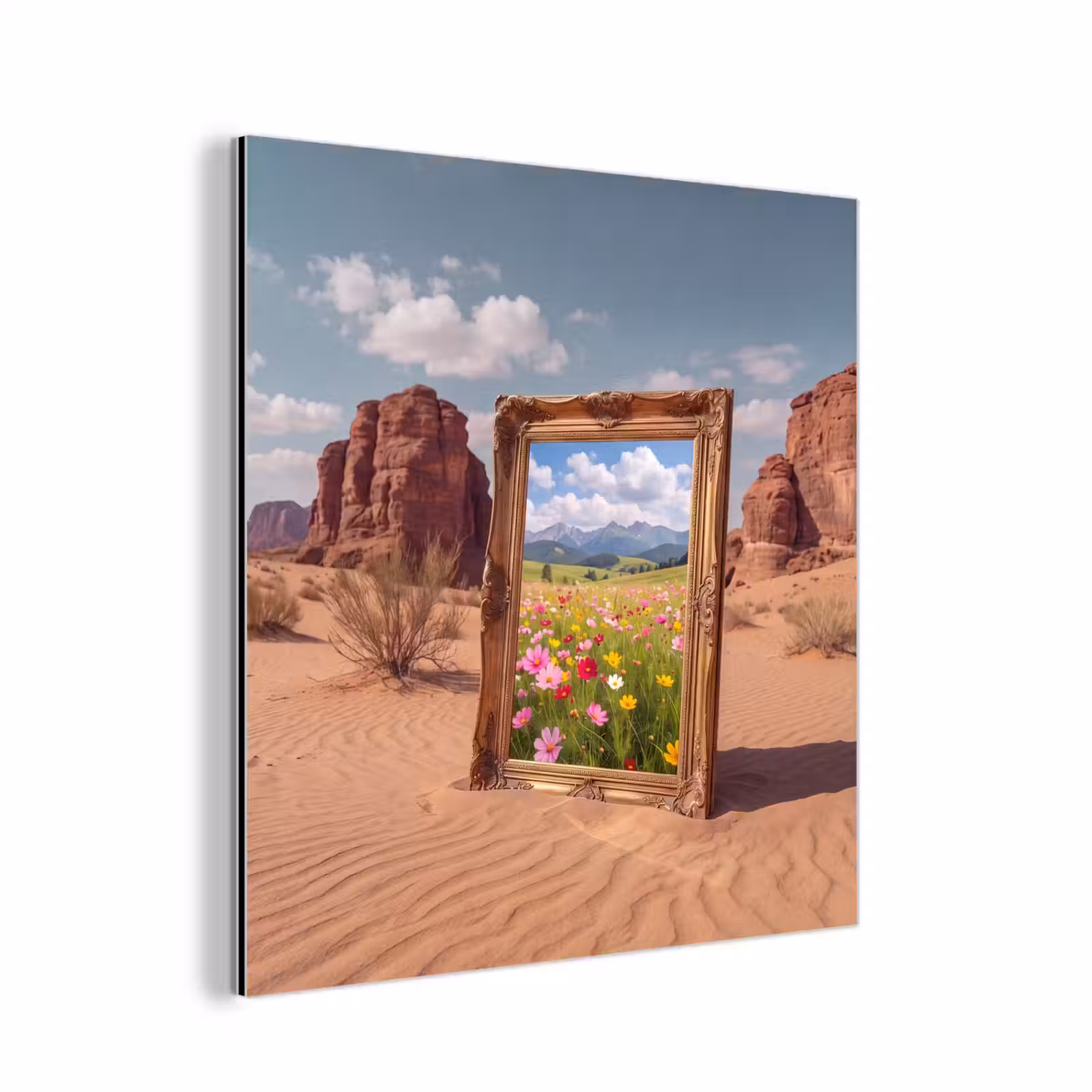 Alu-Dibond-Bild - Rahmen – Wüste – Blumen — 1