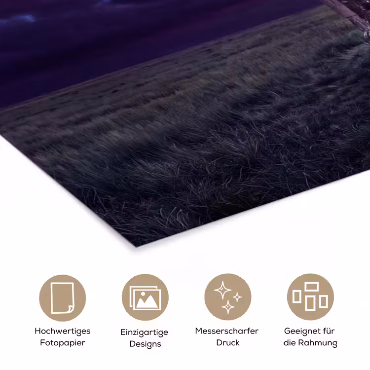 Poster - Bogen – Landschaft – Kontrast — 5