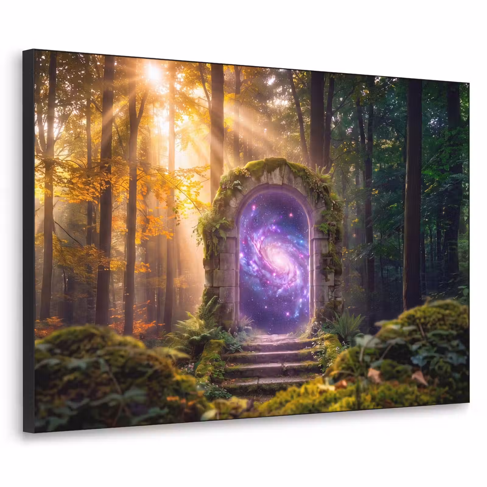 Art Frame - Tor – Kosmos – Wald — 1