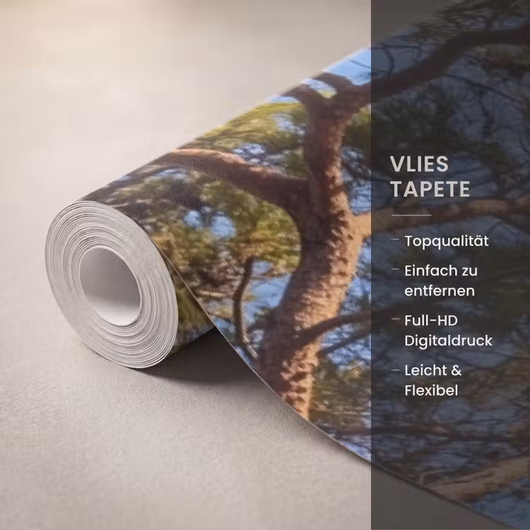 Tapete - Bogen – Küste – Natur — 3
