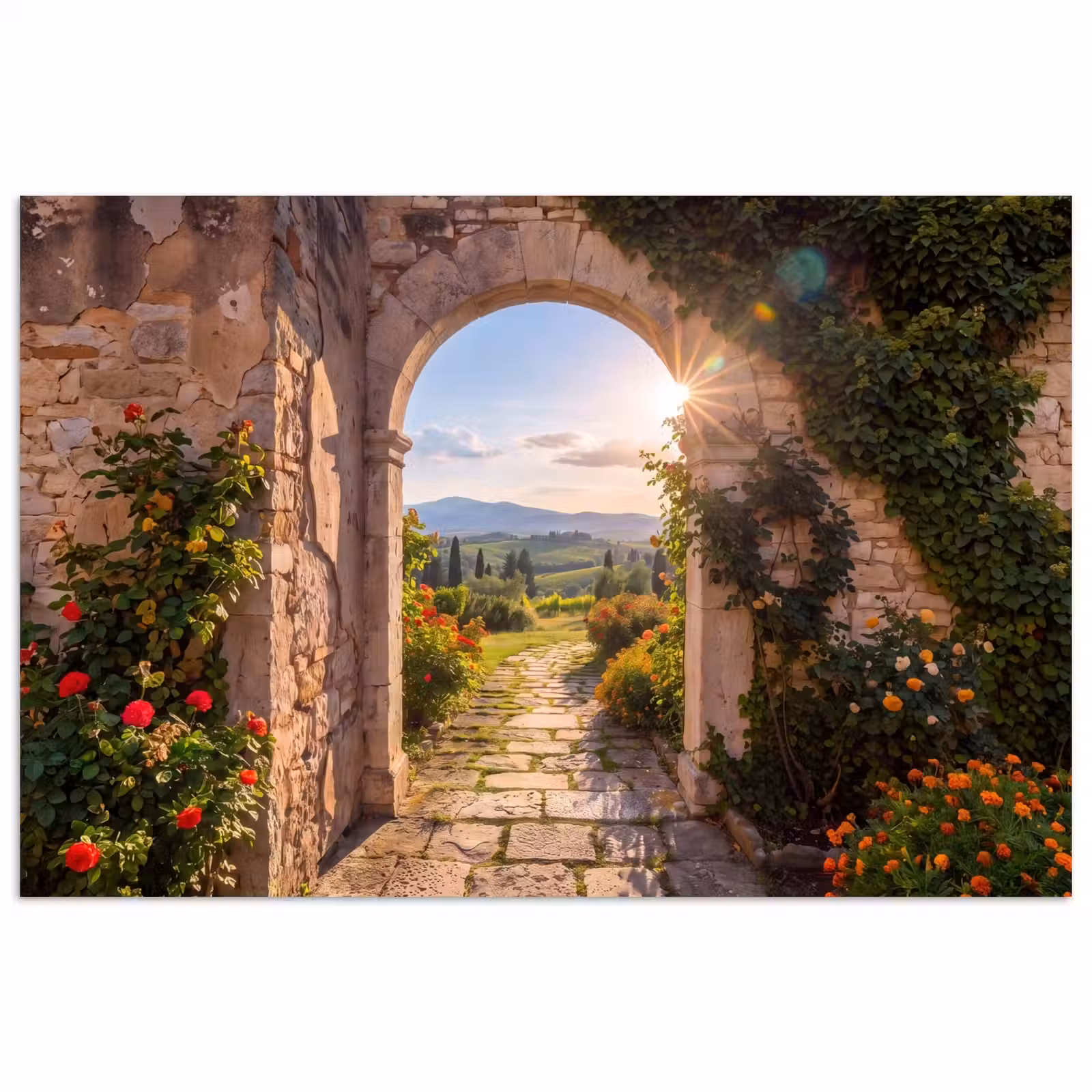 Poster - Weg – Garten – Sonnig — 1