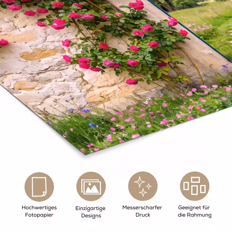 Poster - Bogen – Landschaft – Natur — 5