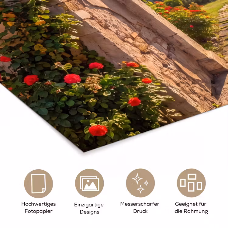 Poster - Weg – Garten – Sonnig — 5