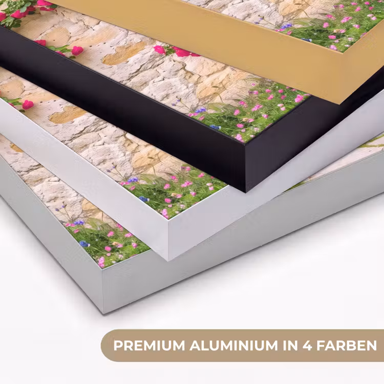 Art Frame - Bogen – Landschaft – Natur — 5