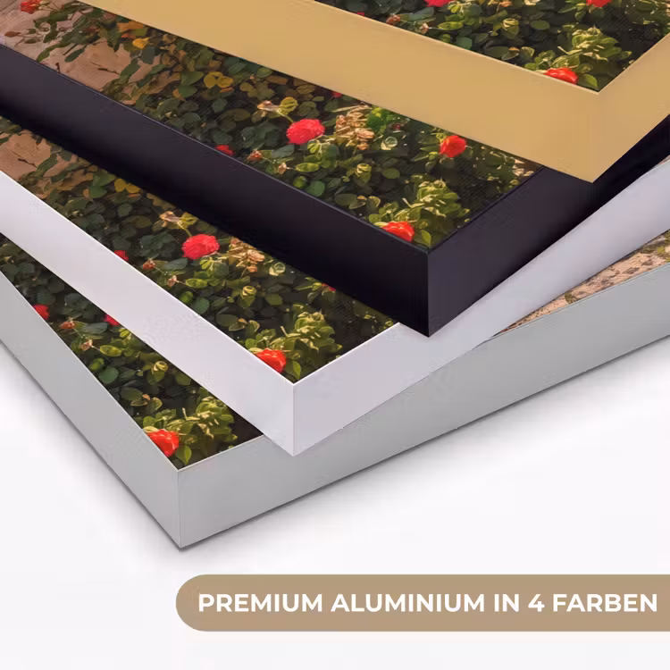 Art Frame - Weg – Garten – Sonnig — 5