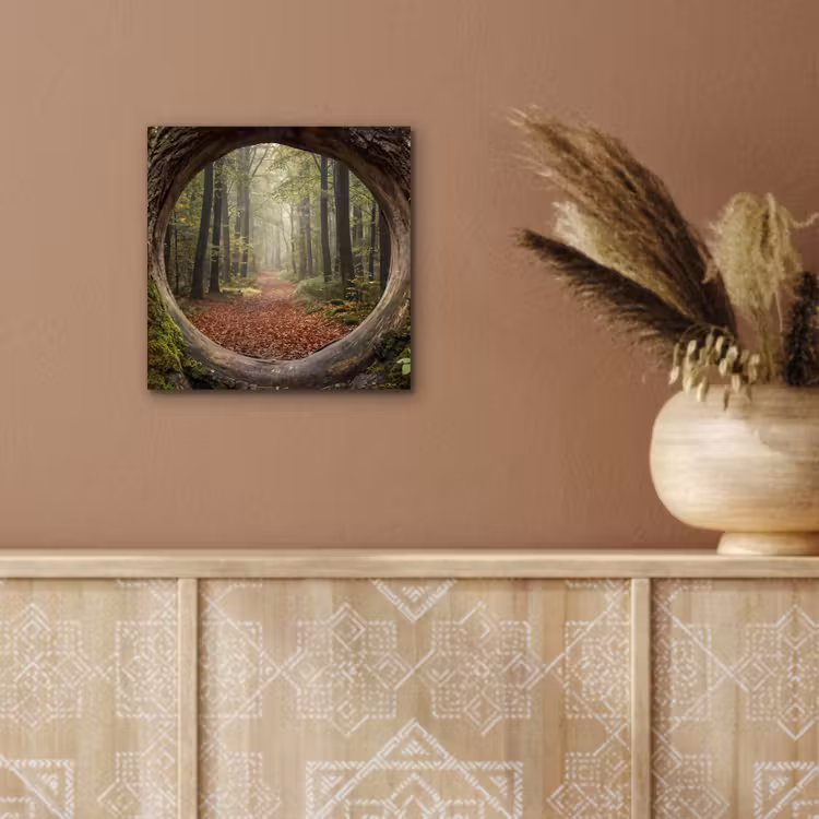Alu-Dibond-Bild - Baum – Wald – Natur — 5