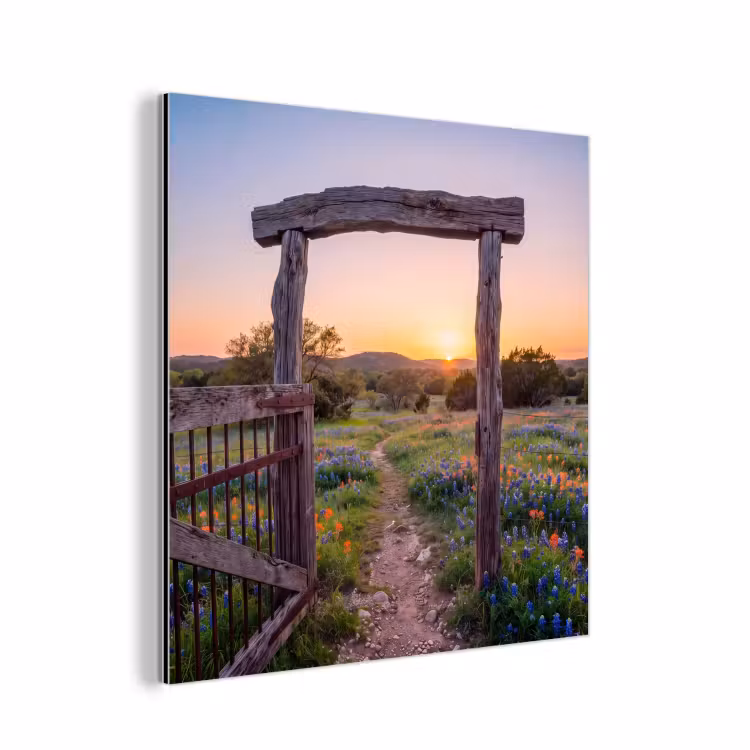 Alu-Dibond-Bild - Tor – Blumen – Natur — 1
