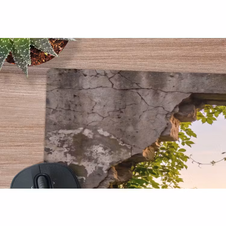 Mauspad - Mauer – Natur – Blumen — 5
