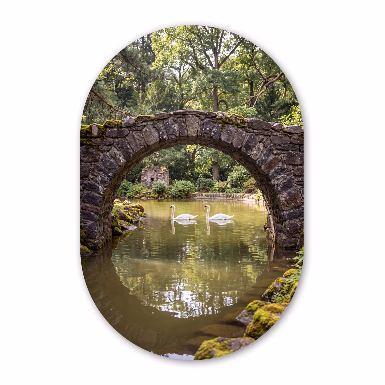 Forexbild Oval - Vogel – Wasser – Natur — 1
